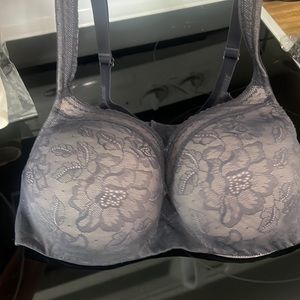 Lane Bryant Bra